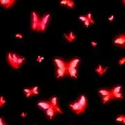 project0japの画像