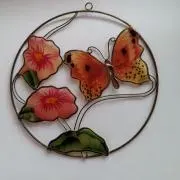 ペコロの画像
