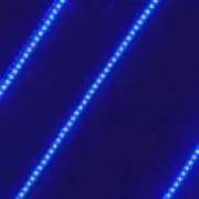 らいおんの画像