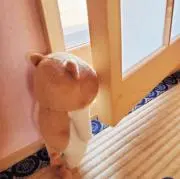 おさち処の画像