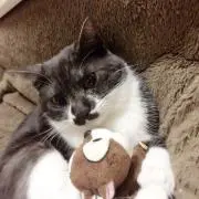 なべ