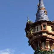 Yの画像