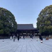 agaresuの画像