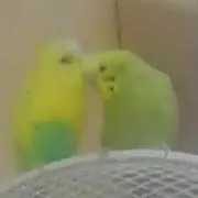☆PiKnToR☆プロフ読んでね！