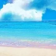 たんしおの画像