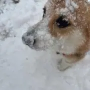ふく太郎