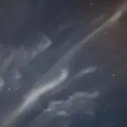 りんごの画像