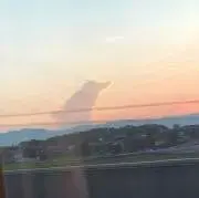 はなはなの画像