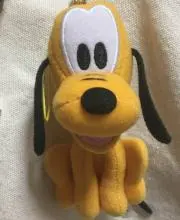 プーちゃんの画像