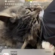 mikiの画像
