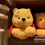 ほにゃぽちの画像