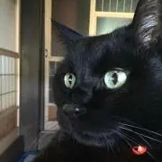 みち⭐️即購入OK( ˶˙º̬˙˶ )୨の画像