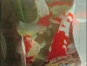 ☆ユキ☆即購入OKフォロー割有りの画像