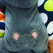 Ysh プロフ必読