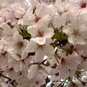 mの画像