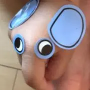マコの画像