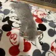 もか商店の画像
