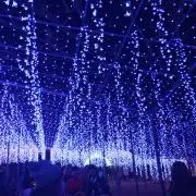 ことはの画像