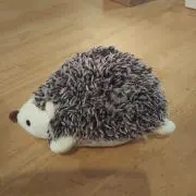 Kazu⭐️大掃除ダンシャリ中の画像