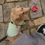 ひろ