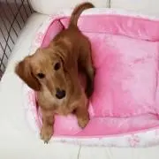 ♡ララ♡