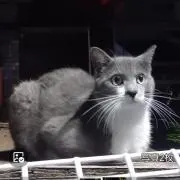 温泉巡り♨️