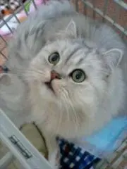 Hiroyaの画像