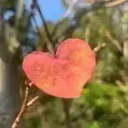yuu☆プロフ読んでください。の画像