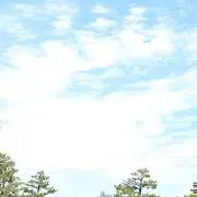 つゆだく【グッズ整理中】の画像