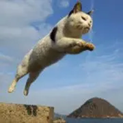 ゆん