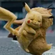 PPPの画像