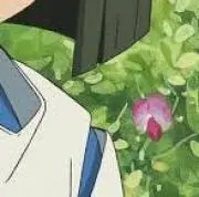 R.Tの画像