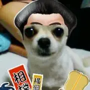 J.S