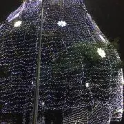 ラウドの画像