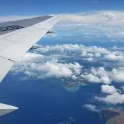 mimiの画像