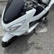 chapiの画像