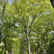 01の画像