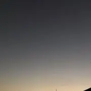 grico
