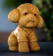 仔犬