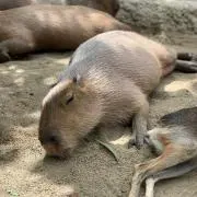 ☺︎の画像