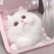 ゆゆゆ