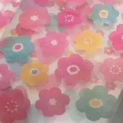 さぁこ