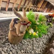 miiiの画像