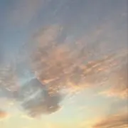 おやまの画像