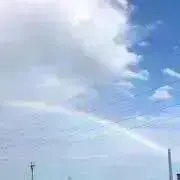 ykの画像