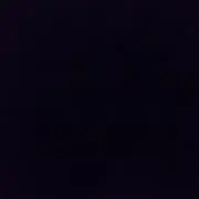 68102037