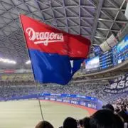 Usagiの画像