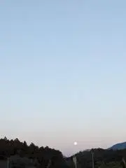ゆうの画像