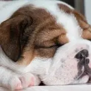 とりあえずの画像