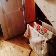はむはむの画像